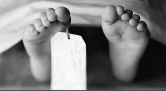 حدث في مصر ..  طفل يقتل زميله ويمزق جثته انتقاماً