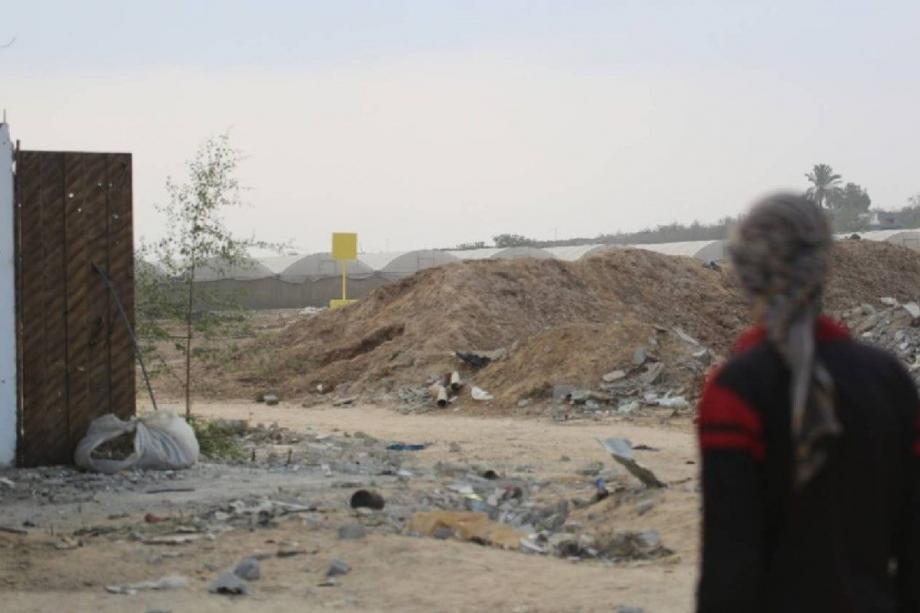 الأرض المحاصرة… كيف حوّل “الخط الأصفر” الزراعة إلى مهنة مستحيلة في غزة؟  