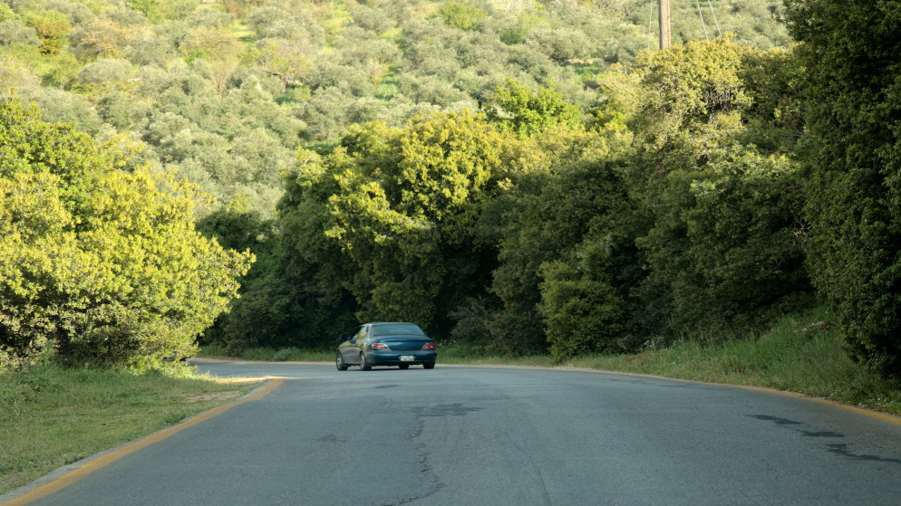 طقس لطيف إلى دافئ نسبيا والحرارة أعلى من معدلاتها بـ 5 درجات