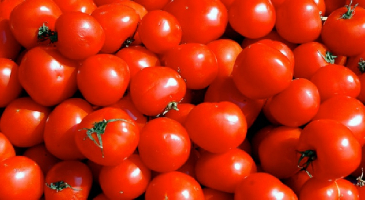 وزير الزراعة: السعر المقبول للبندورة بين 80 قرشا ودينار