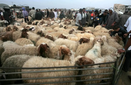 وفاة رجل داخل سوق الحلال في مأدبا وسط الازدحام الخانق