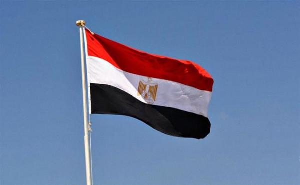 مصر تدعو إلى التكاتف لضمان تمثيل أقوى للدول النامية بصنع القرار الاقتصادي