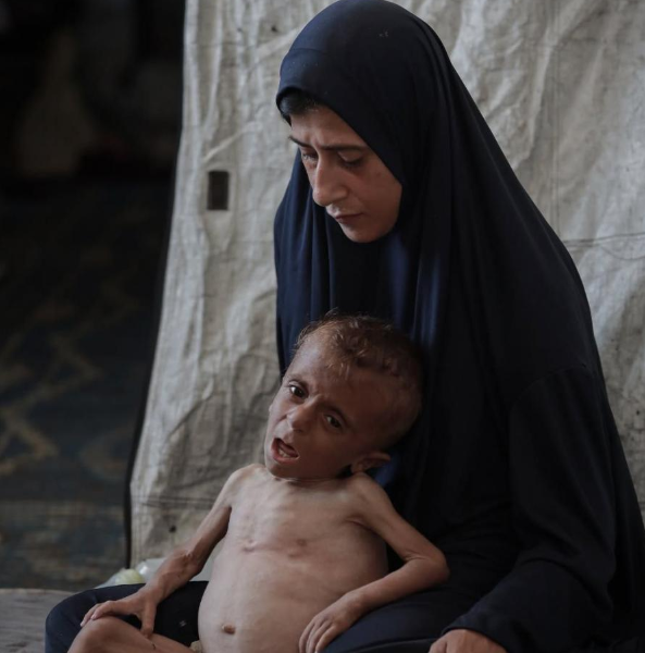 البرش: لا قيمة للهدنة ما لم تتحول إلى فرصة حقيقية لإنقاذ الأرواح 