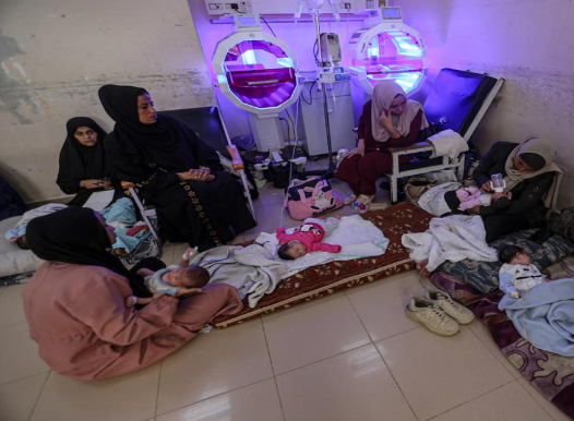 غزة ..  الخُدّج والمرضى في مواجهة آلة عدوان الاحتلال