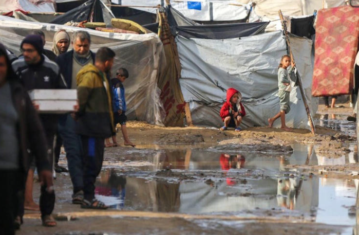 أطباء بلا حدود: ارتفاع وفيات الرضع 6 أضعاف في غزة