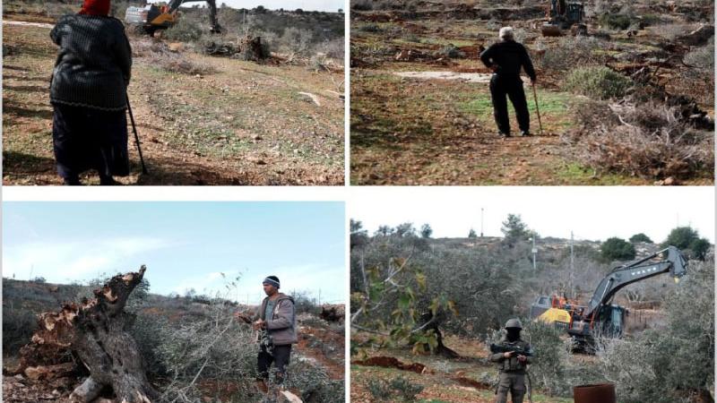 قريوت تواجه أوسع عمليات تجريف منذ سنوات وسط توسّع استعماري متسارع