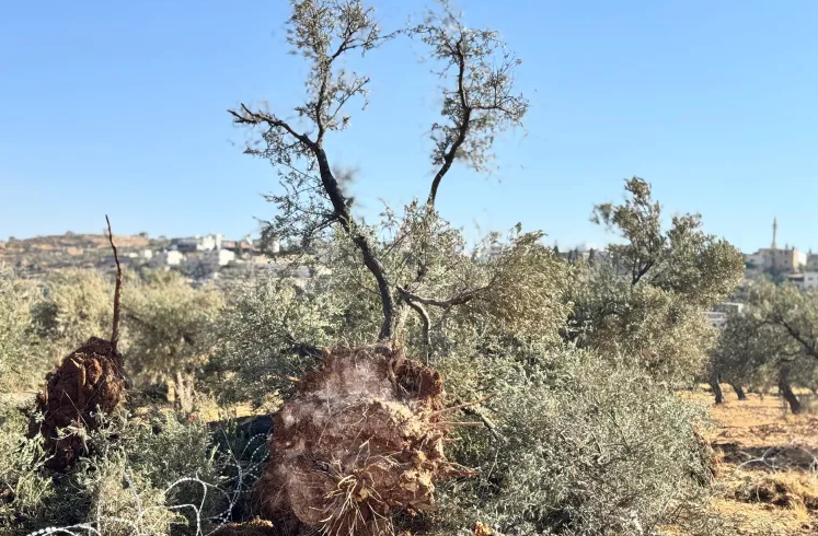 3 أيام عجاف ..  أهالي قرية المغير بالضفة يتحدثون عن انتهاكات جيش الاحتلال