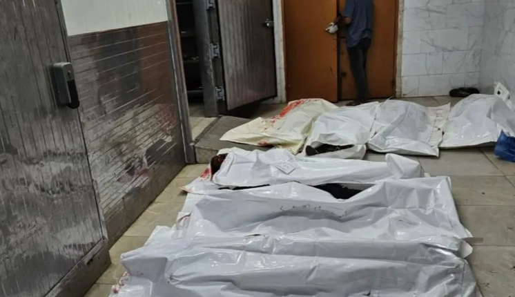 مجزرة رفح ..  خبز مغمس بالدم ومساعدات تتحول لأفخاخ موت