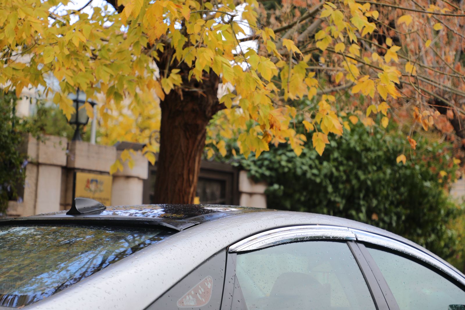 أجواء غير مستقرة وزخات مطرية متفرقة مع تحذيرات من السيول