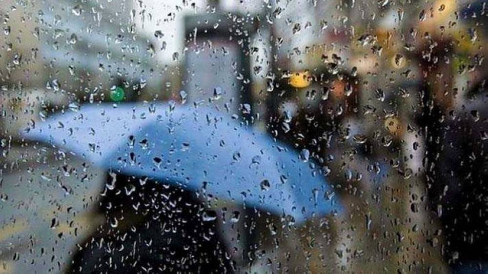 الأرصاد: شباط الحالي أدفأ من معدلاته العامة 