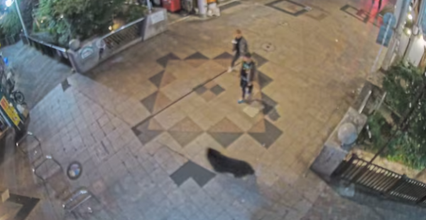 img13