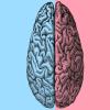 الذكاء الاصطناعي يكتشف اختلافات كبيرة في الدماغ عند الذكور والإناث